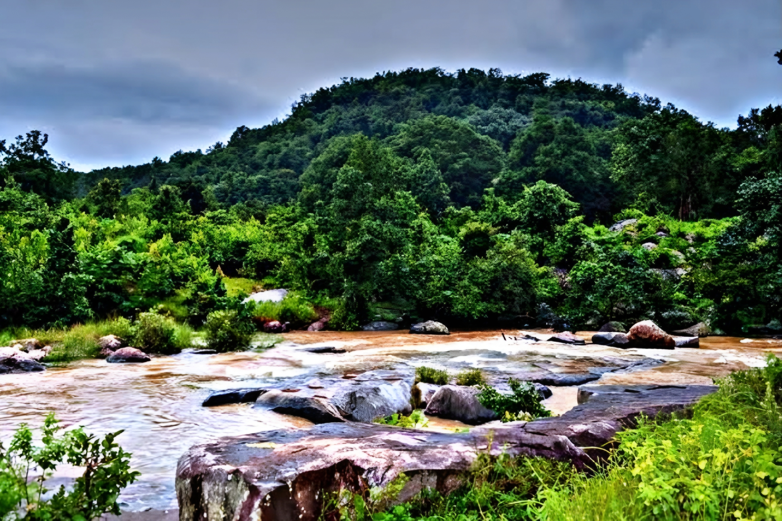 Gopalpur & Daringbari