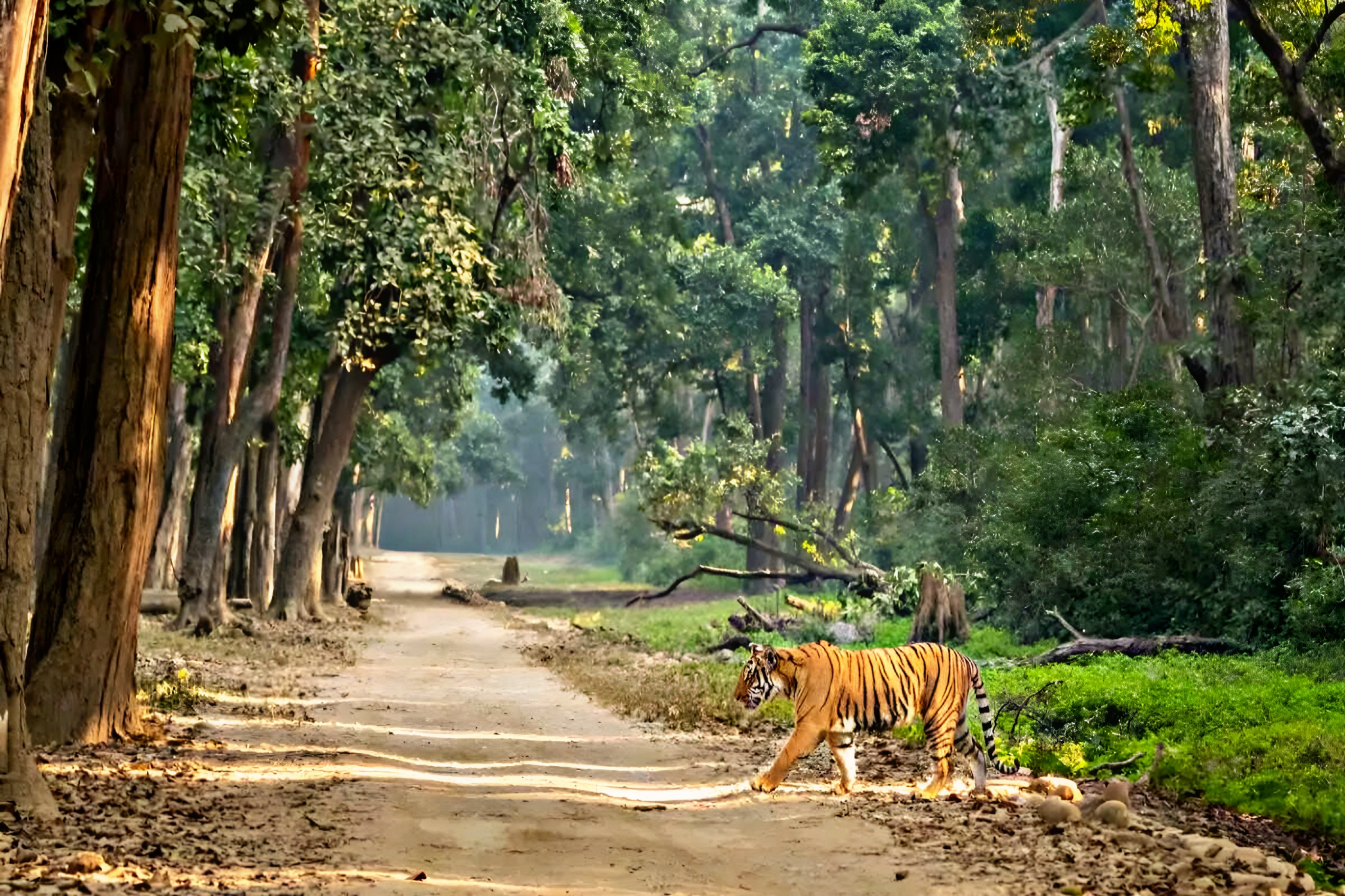 Jim Corbett