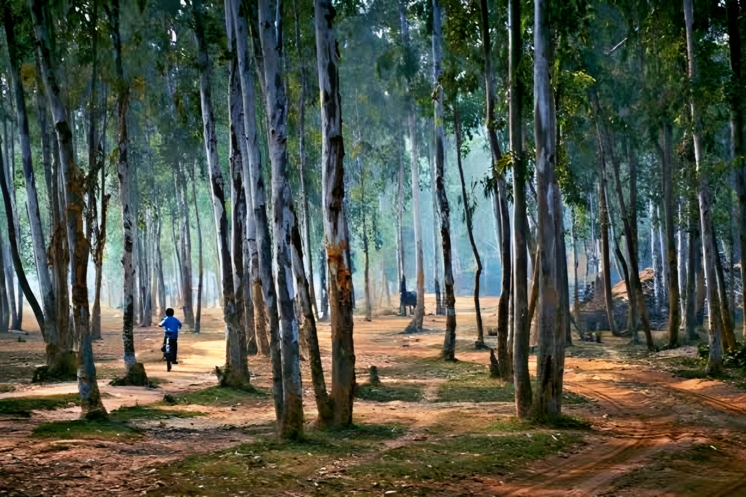 Shantiniketan